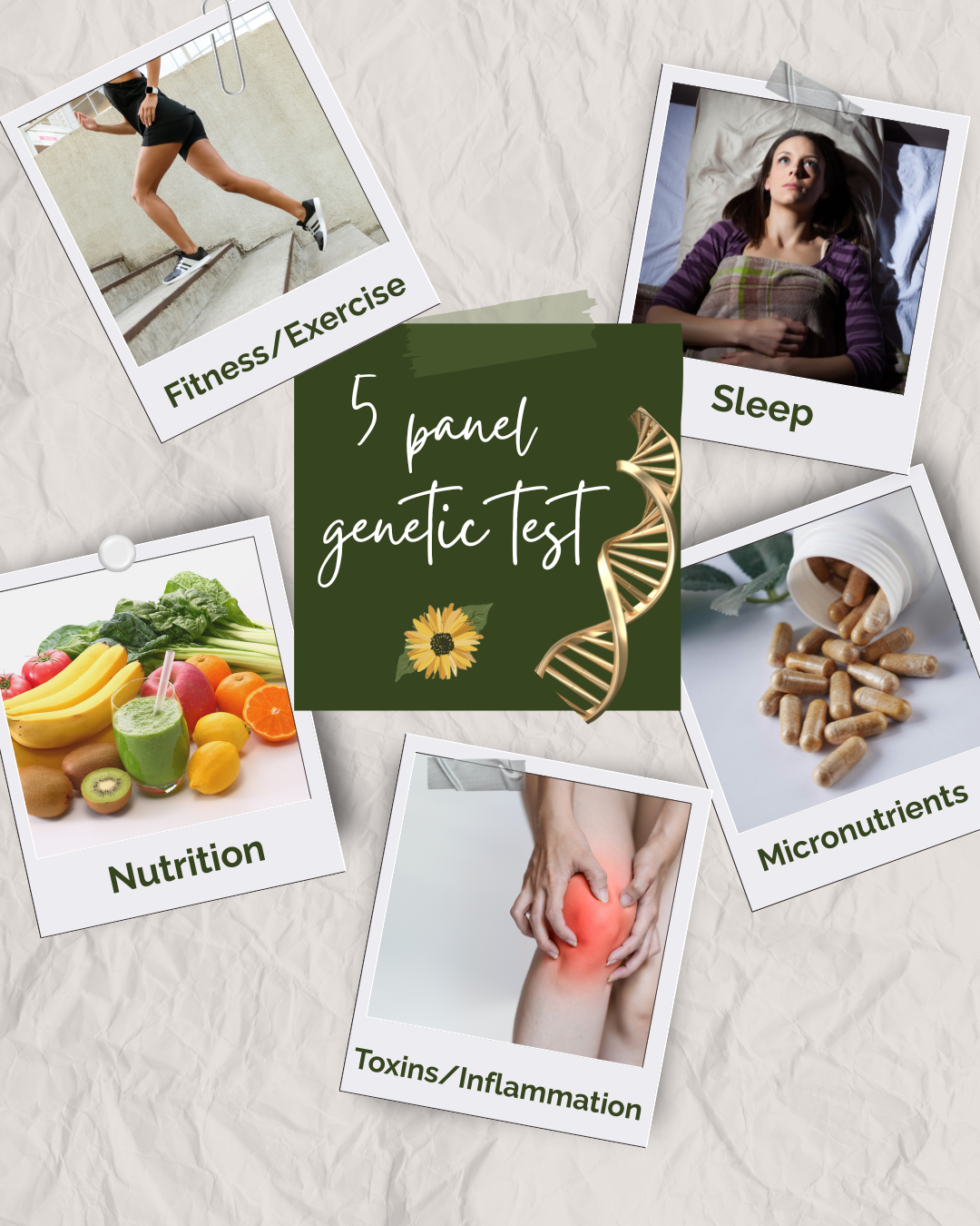 The H.O.P.E. Architecture Single Session (5 panel)