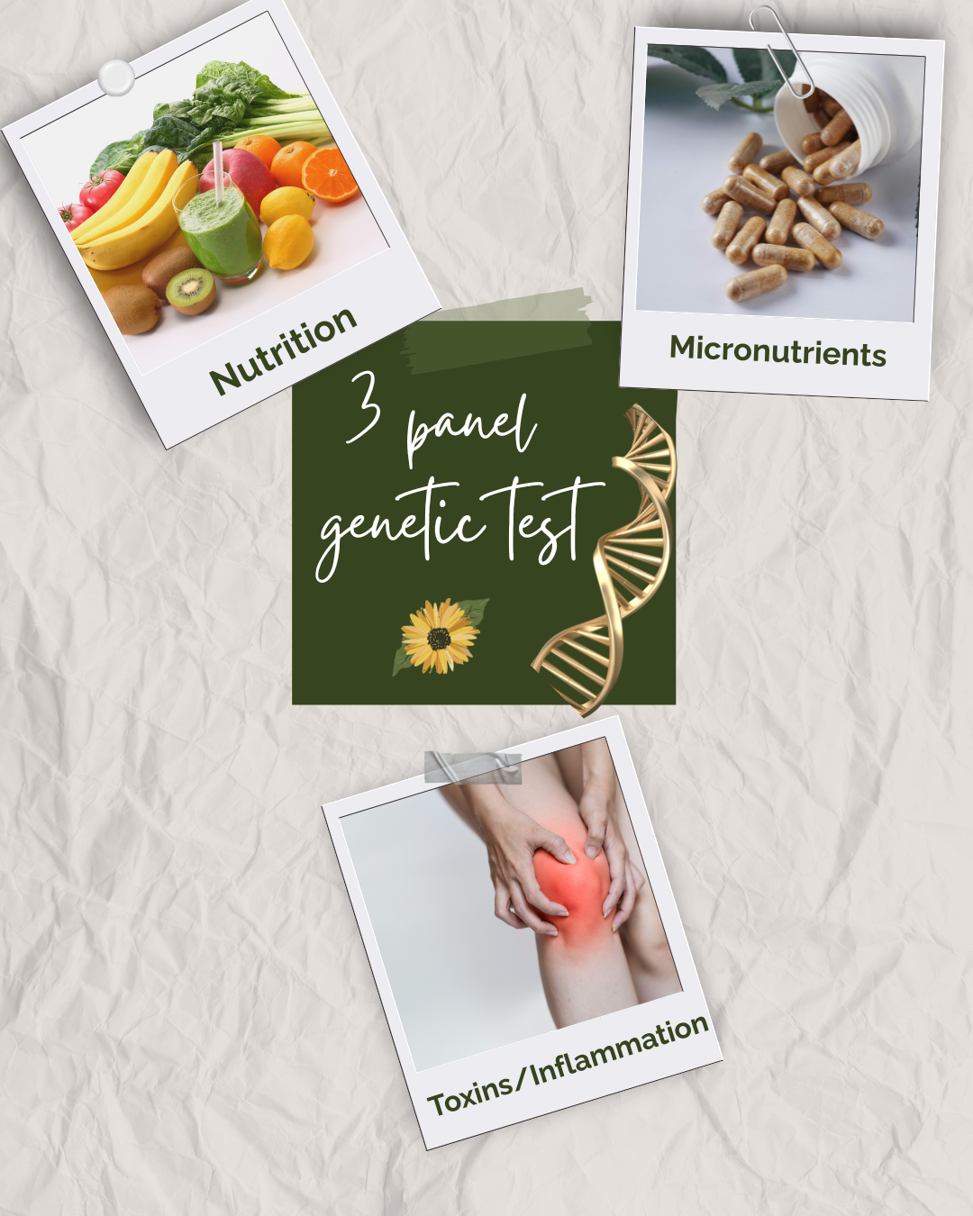 The H.O.P.E. Architecture Single Session (3 panel)