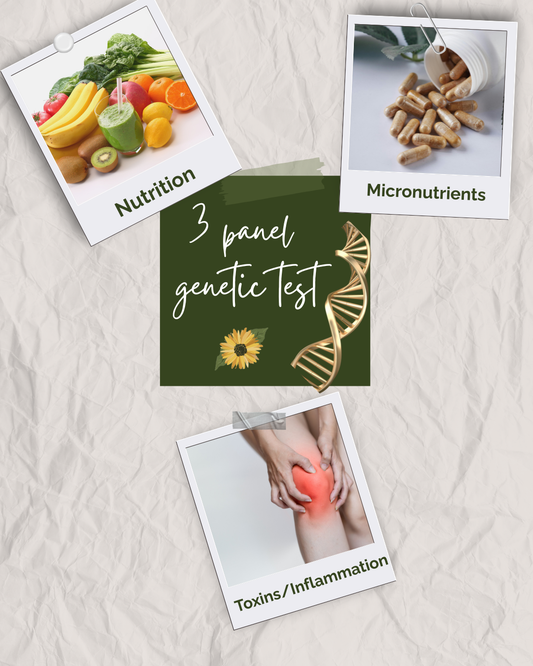 The H.O.P.E. Architecture Single Session (3 panel)