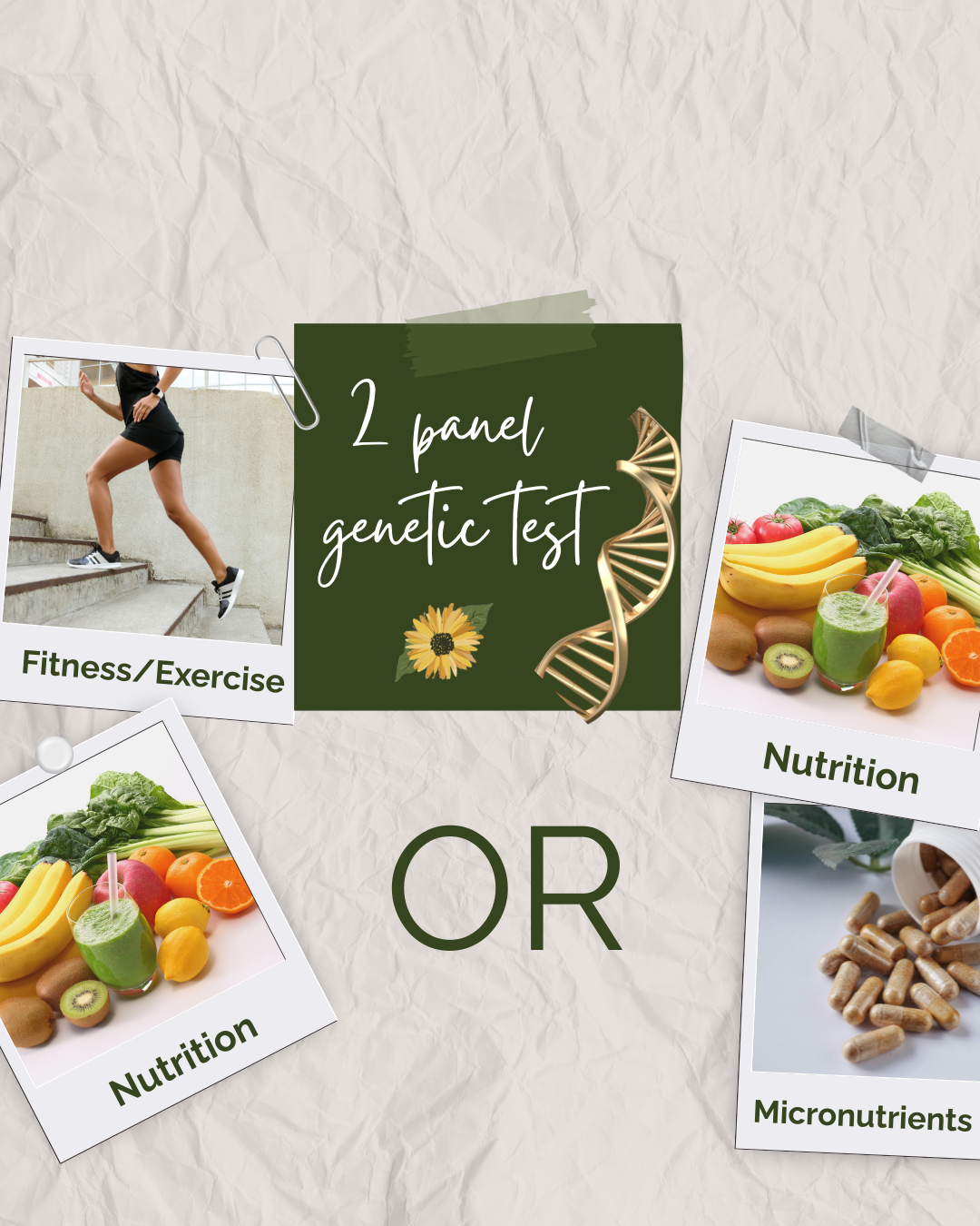 The H.O.P.E. Architecture Single Session (2 panel)