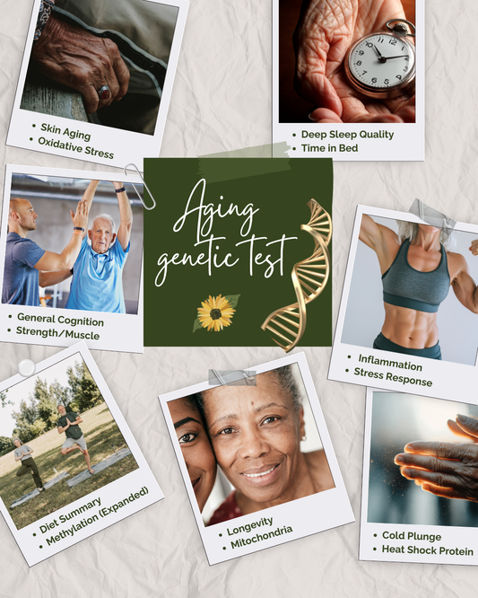 The H.O.P.E. Architecture Single Session (Aging)